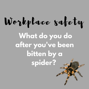 When Should I Worry About a Spider Bite? - GoodRx